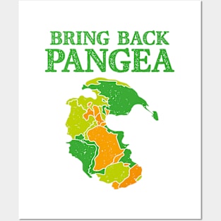 Bring Back Pangea Funny Geology Posters and Art